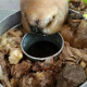 Img 20210220 Wa0000 1