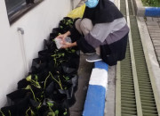 Prodi Diii Farmasi Stikes Rs Anwar Medika Adakan Penelitian Screaning Fitokimia Pegagan