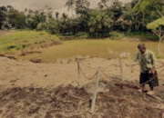 Misteri Kampung Pitu, Hanya Boleh Dihuni Tujuh Kepala Keluarga (Bagian Ii Habis)