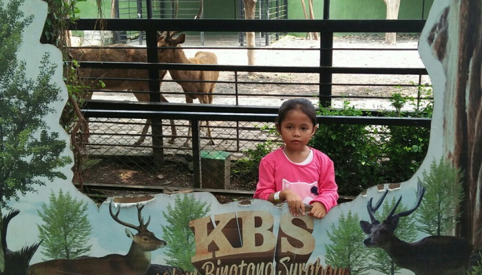Kebun Binatang Surabaya Tetap Buka Di Hari Libur Lebaran, Akses Pintu Di Buka Semua