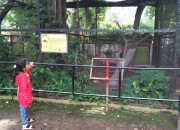 Kebun Binatang Surabaya (Kbs) Beri Diskon Pengunjung