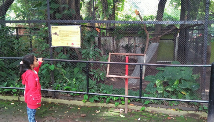 Kebun Binatang Surabaya (Kbs) Beri Diskon Pengunjung