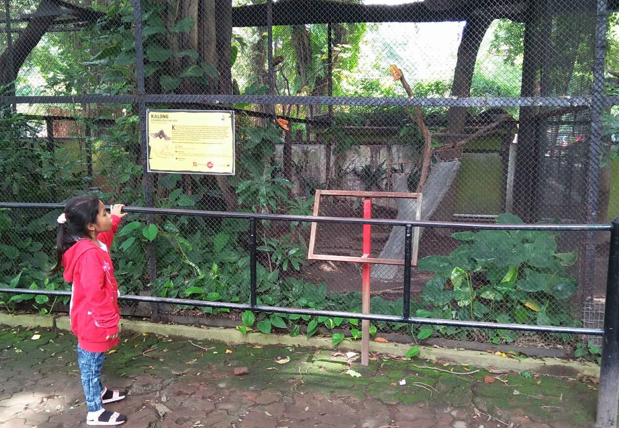 Img 20210601 111158 1