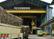 Komisaris Utama Ptpn Xi Dedy Mawardi Periksa Gula Tirai Produksi Pg Semboro Jember