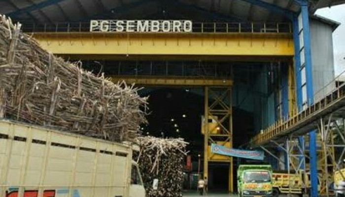 Komisaris Utama Ptpn Xi Dedy Mawardi Periksa Gula Tirai Produksi Pg Semboro Jember