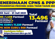 Pendaftaran Cpns Dan Pppk Badan Kepegawaian Nasional Dibuka Hari Ini