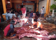 Masjid An Nur Leken Kota Surabaya, Turut Andil Menyembelih 4 Sapi Dan 3 Kambing