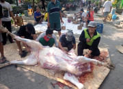 Pondok Asuhan At Tin Pakal Kota Surabaya Sembelih Hewan Kurban