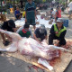 Img 20210730 Wa0003 1