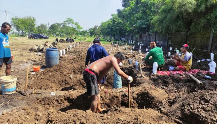 Tukang Penggali Makam Covid-19 Dapat Bonus Rp 1,25 M