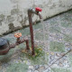 Img 20210801 091749 1