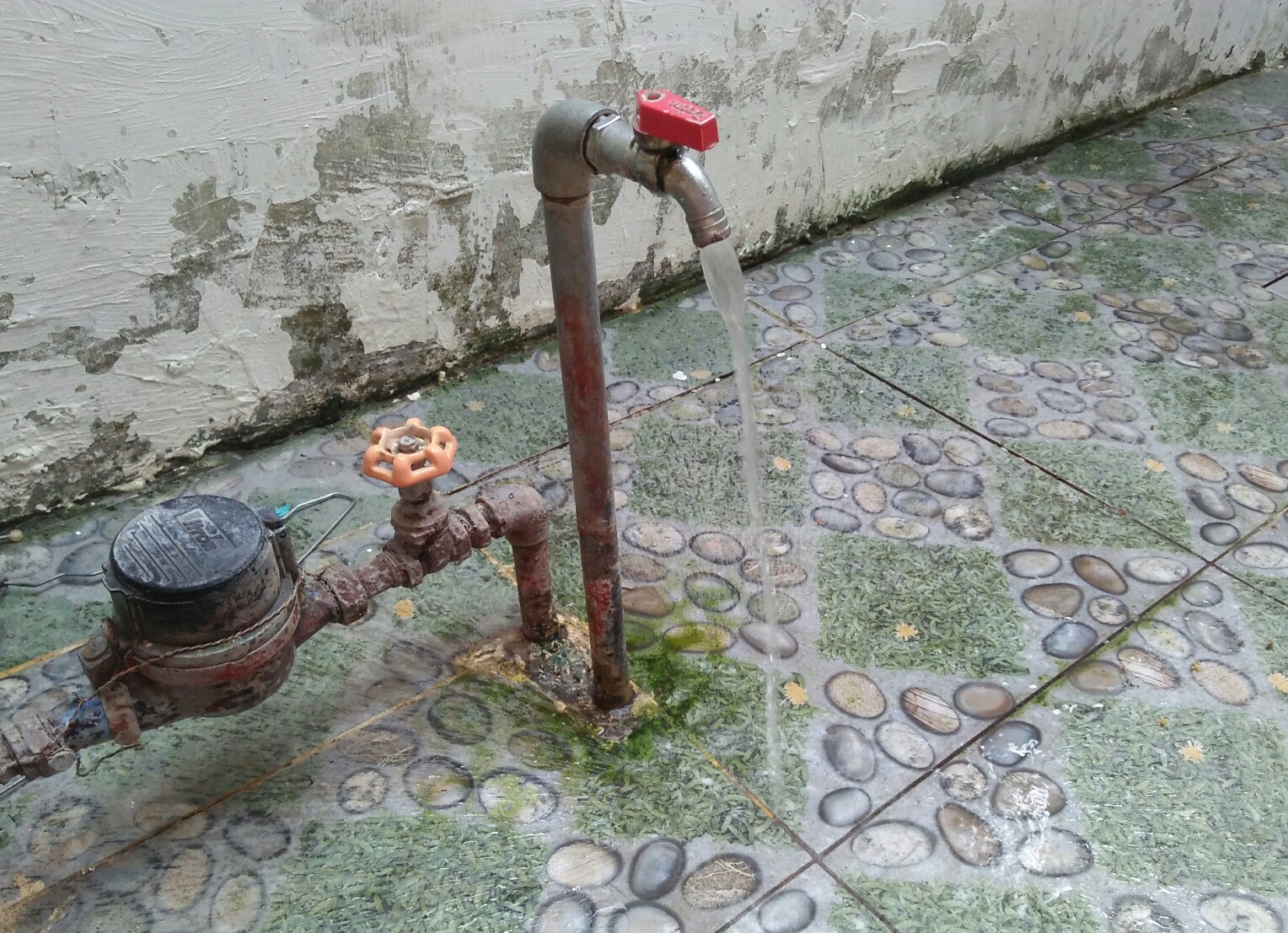 Img 20210801 091749 1