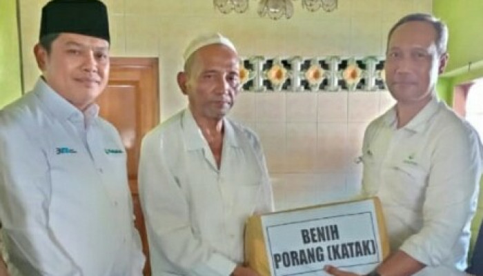 Perhutani Probolinggo Salurkan Benih Tanaman Porang Dan Bibit Pohon Kayu Putih Di Ponpes Al Munir