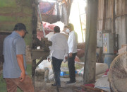 Wabup Subandi Sidak Rumah Pengolahan Tepung Bulu Ayam, Baunya Meresahkan Warga