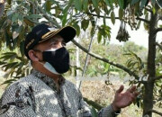 Objek Wisata Agropark Di Montong, Tuban Destinasi Keindahan