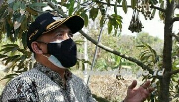 Objek Wisata Agropark Di Montong, Tuban Destinasi Keindahan