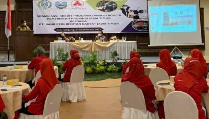 Begini, Pola Kredit Penguatan Modal Bagi Umkm Di Jatim