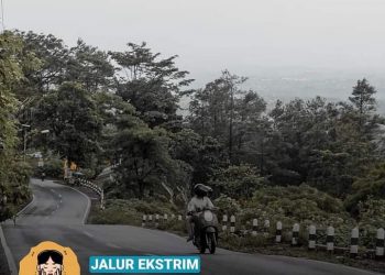 Wacana Larangan Kendaraan Metik Melintasi Jalur Cangar, Pacet dan Batu