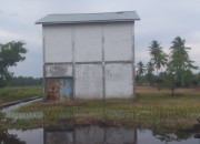 Misteri Dibalik Proyek Pembangunan Pabrik Penggilingan Padi Desa Sungai Belidak