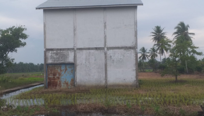 Misteri Dibalik Proyek Pembangunan Pabrik Penggilingan Padi Desa Sungai Belidak