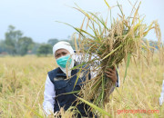 Gubernur Khofifah Ajak Warga Jatim Jaga Ketahanan Pangan