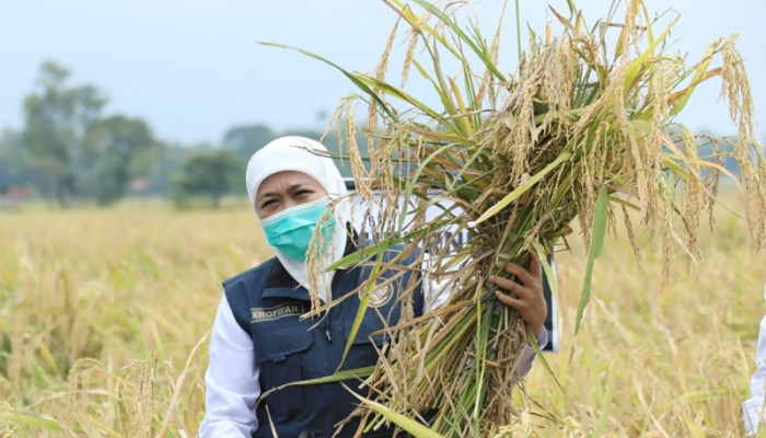 Gubernur Khofifah Ajak Warga Jatim Jaga Ketahanan Pangan