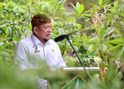 Ketua Dpd Ri: Reshuffle Kabinet Harus Tingkatkan Kinerja