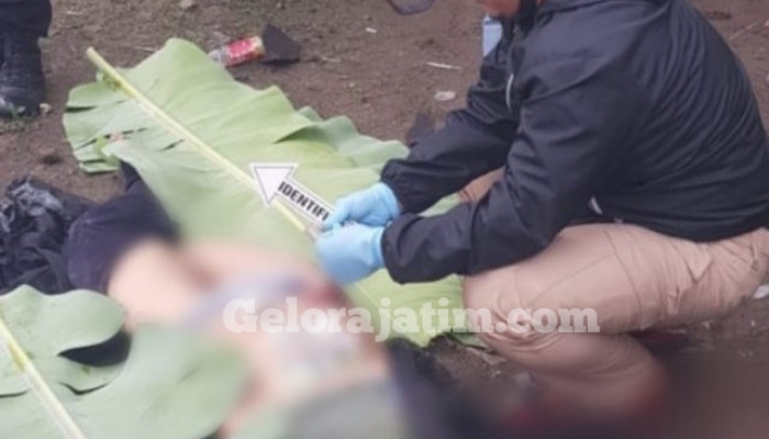 Pelaku Pembunuhan Di Bambe Tewas Mengenaskan, Diduga Sengaja Menabrakan Diri