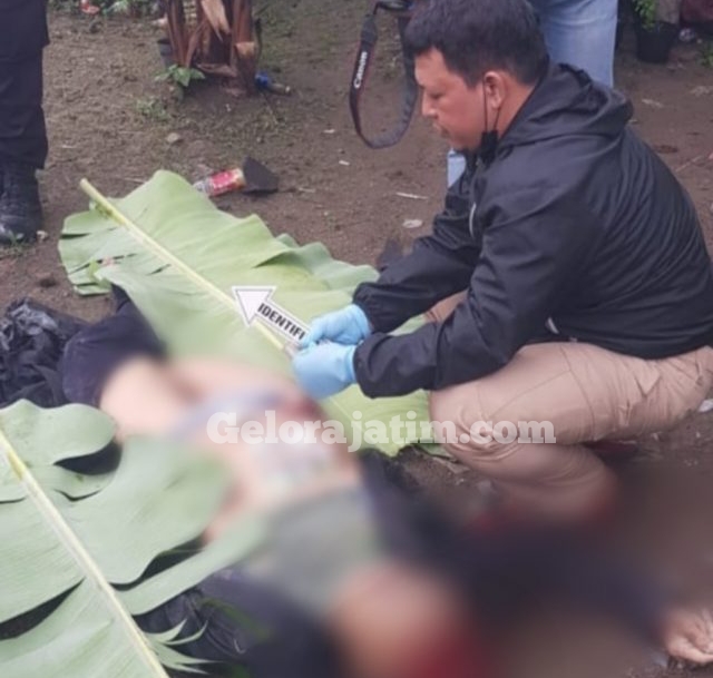 Img 20211125 Wa0013 1