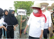 Gubernur Khofifah Nanem Tenjang Di Beberapa Wilayah Di Jatim, Termasuk Bangkalan
