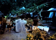 Akibat Pohon Tumbang, Mengakibatkan Korban Tewas Dan Luka-Luka