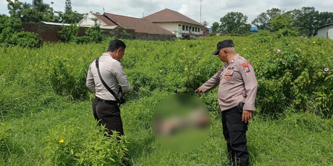 Polisi Ungkap Identitas Mayat yang Ditemukan di Lahan Kosong Singosari Malang