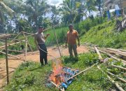 Polisi Gerebek Dan Bongkar Arena Judi Sabung Ayam Di Gedangan Malang
