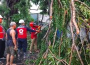 Call Center 112 Sidoarjo Siaga 24 Jam Panggilan Darurat Waspada Pohon Tumbang