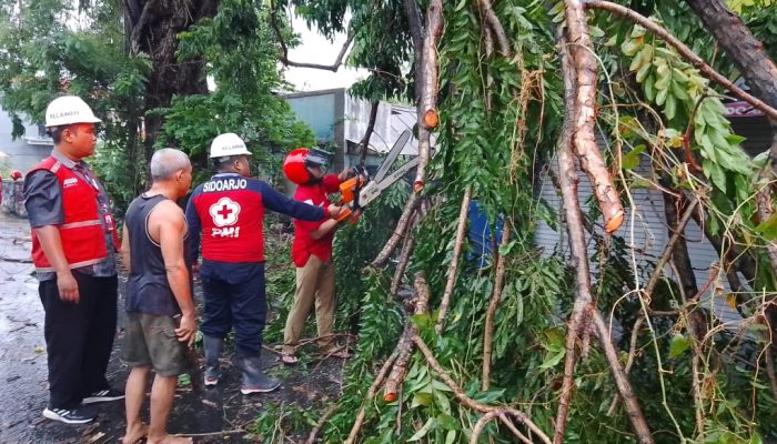Call Center 112 Sidoarjo Siaga 24 Jam Panggilan Darurat Waspada Pohon Tumbang