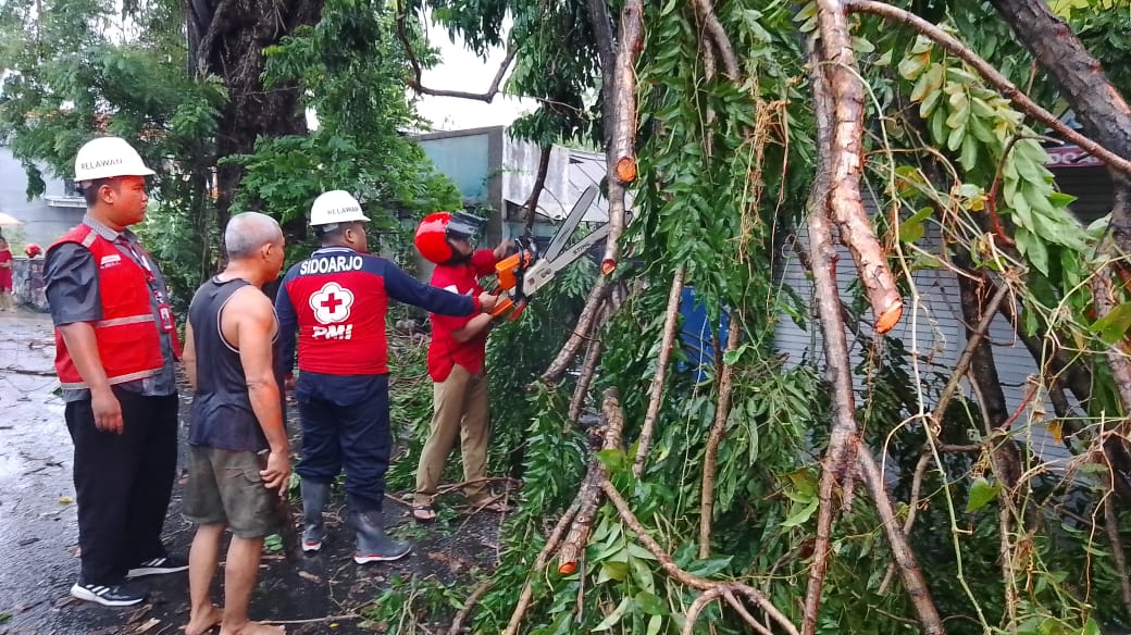 Img 20240122 Wa0049 1