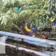 Img 20240212 Wa0010 1