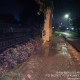 Img 20240220 Wa0003 1
