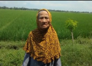 Oknum Asn Guru Di Sidoarjo Diduga Serobot Tanah Milik Seorang Nenek