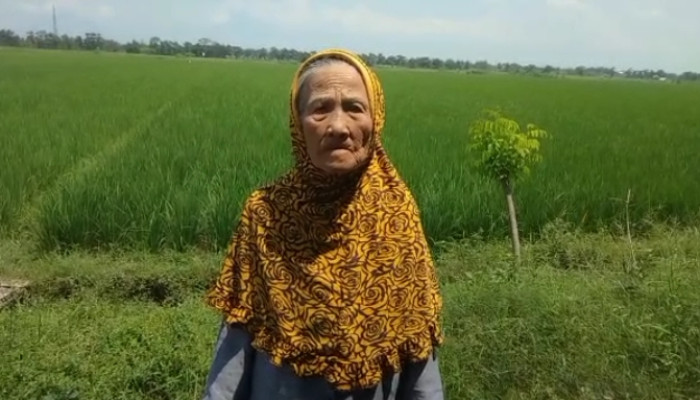 Oknum Asn Guru Di Sidoarjo Diduga Serobot Tanah Milik Seorang Nenek