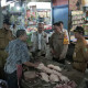Img 20240226 Wa0043 1