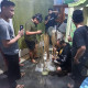 Img 20240406 Wa0006 1