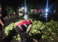 Gercep, Polisi Tangani Pohon Tumbang, Jalur Mudik Kota Kediri Kembali Lancar
