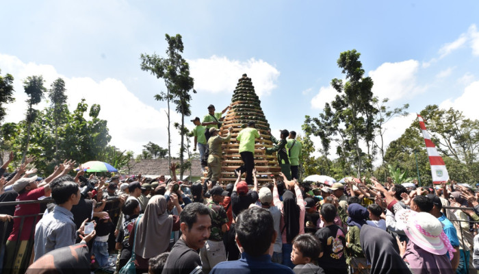 Warga Pasuruan Berebut Ribuan Alpukat Pada Kegiatan Gema Kating