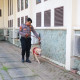 Img 20240509 Wa0002 1