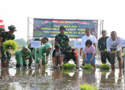 Tmmd Ke-120 Kodim 0816 Sidoarjo Dukung Ketahanan Pangan Di Desa Penambangan