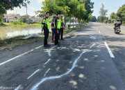 Pemotor Yamaha Jatuh Dan Terlindas Truck Trailer Di Balongbendo Sidoarjo 