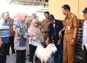 Penyerahan Bantuan Program Ketahanan Pangan Desa Sedati Agung Dihadiri  Istri Plt Bupati Sidoarjo