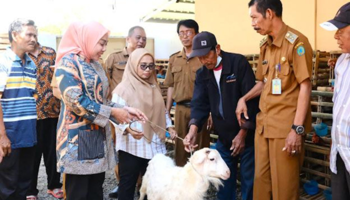 Penyerahan Bantuan Program Ketahanan Pangan Desa Sedati Agung Dihadiri  Istri Plt Bupati Sidoarjo