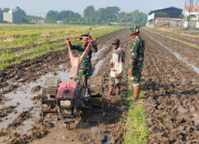 Satgas Tmmd Ke-120 Kodim 0816 Bersinergi Dengan Petani Desa Penambangan Untuk Ketahanan Pangan